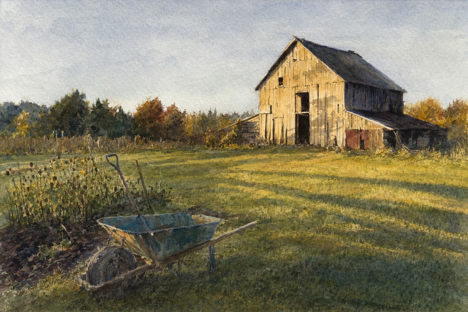 Watercolor of a farm yard at dusk looking east toward a weathered barn lit by low sun from behind, a wheelbarrow abandoned near the garden edge, long shadows on grass.